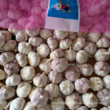 Chinese Fresh White Garlic in 10kg Mesh Bag